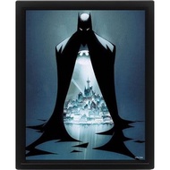 DC Batman Cloak Gotham City 3D Poster With Frame