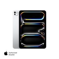 Apple 11-inch iPad Pro WiFi (M4 chip, 2024)