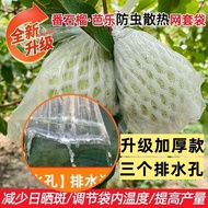 💗Taoyuan Shipment💗Guava Net Bag Guava Net Bag Red Heart Guava Special Insect-Proof Net Bag Fruit Int