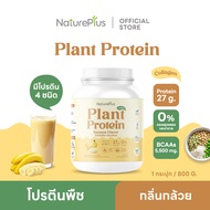 NaturePlus ส่งฟรี🍀โปรตีนพืช กลิ่นกล้วย🍌 โปรตีนสูง พืช 4 ชนิดผสมคอลลาเจน | 1 กระปุก(800g)