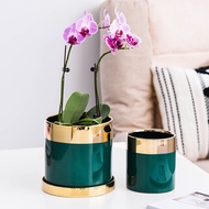 Luxury Plant Pot With Gold Base | Plant Pot | Material: Ceramic