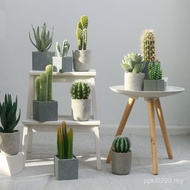 Ins Style Decoration Green Plant Decoration Simulation Cactus Nordic Succulent Potted Plant Home Liv