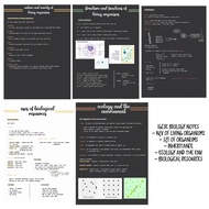 IGCSE Edexcel Biology digital notes