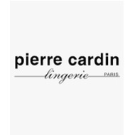 HARGA RUNTUH  AUTHENTIC PIERRE CARDIN LACEY PANTIES