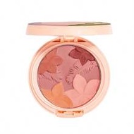 PHYSICIANS FORMULA Butter Series Powder Blush - 4.9g