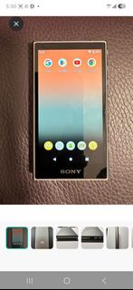 SONY Walkman 高階音樂播放器  NW-105