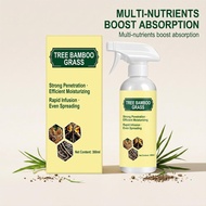 Indoor Plant Fertilizer Liquid Fresh Lucky Bamboo Spray Plant Food Spray 300ml Organic Foliage House