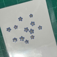 | forget me not Dried Flower Pressed Flowers