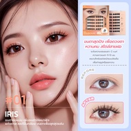 MLEN DIARY GLUELESS FALSIES ขนตาปลอมแบบมีกาวในตัว ไม่ต้องใช้กาว ติดง่าย และติดทนนาน