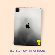 IPad Pro 11 2021 M1 5G 256GB