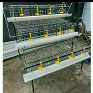 kandang ayam petelur kandang ayam set petelur galvanis murah