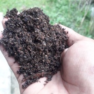 (1KG)ORGANIC BOKASHI COMPOSTING WITH PROBIOTIC UNTUK TANAMAN #EM4