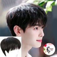 SHORT KOREAN STYLE FULL WIG FOR MEN COOL MEN'S WIG HAIR/