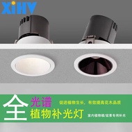 Full Spectrum Plant Growth Fill Light Embedded 75 Holes Imitation Sunlight Green Plant Arhat Pine La