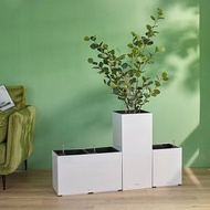 溢翠園藝 - Leizisure - 自動吸水式花盆 (塑料) 銀色長方形 2個內膽盆