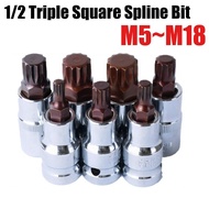 12-Point Triple Square Spline Bit Socket Set M5 M6 M8 M10 M12 M14 M16 M18 1/2inch Drive CR V Steel B