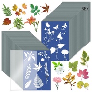 NEX Sun Print Paper with Sheet Cyanotype Paper  Sensitive Nature Art Paper