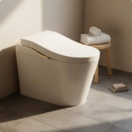 Instant Heating Smart Toilet Warm Air Dryer Single-Piece Bidet Toilet Auto Deodorizer Electronic Bid