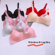 ComfortFit Lace Wireless Bra with Wide Elastic Support B cup Bra 36B-42B