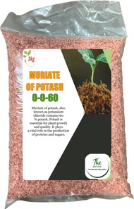 1KILO - MURIATE OF POTASH 0-0-60 /PLANT FERTILIZER/BLOOM BOOSTER/FLOWER BOOSTER/FRUIT BOOSTER