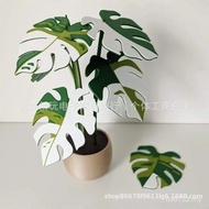 New Style Monstera Cross-Border Simulation Printing Potted Green plant Indoor plant Decoration Monst