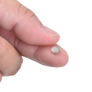 High Power Magnet 6x2mm N42 Neodymium PEAK Magnetics Genuine Grade Attraction BK1511