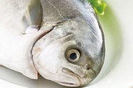 黃金鯧魚頭 1公斤(4-6個)