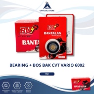 BEARING+BOS BAK CVT VARIO 6002 RUI - LAHAR CVT 6002 + YELLOW BOSS