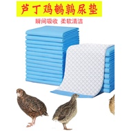 Luding Chicken Quail Dedicated Changing Gasket Diaper Non-Wet Deodorant Litter Adult Chicken Cage Ch