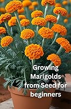 HOW TO GROW MARIGOLDS FROM SEED FOR BEGINNERS: "From Tiny Seeds to Blooming Wonders: The Joy of Grow