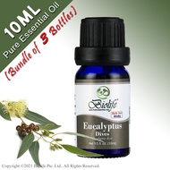 (Bundle of 3 Bottles) Biolife Eucalyptus Dives, 100% Pure Aromatherapy Natural Organic Essential Oil (10ml Single-Note Oil), suitable use for Diffuser, Humidifier, Massage, Skin Care