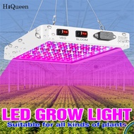 HiQueen Lanlan Led Grow Light Indoor Ip65 Waterproof Dustproof Plant Lamp Full Spectrum Greenhouse F