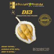 [SAME DAY DELIVERY] ROLLING DURIAN Singapore Red Prawn [500G] D13 新加坡红虾