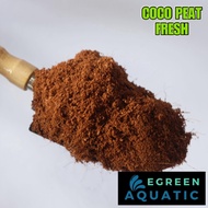 Coco Peat 2Liters Tarantula Bedding Substrate Spider Litter