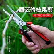 Stainless Steel Sparse Flower Fruit Sparse Fruit Scissors Fruit Picking Scissors Powerful Pear Tree 