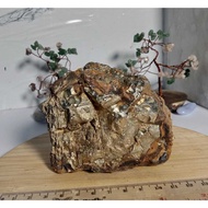 Golden Pyrite Rough Raw/ (8)