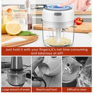 HomeBox SGUpgrade Electric Garlic Chopper USB, Small Onion Chopper Mini Food Grinder Blender Mixer M