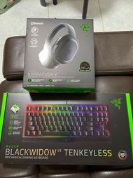 Razer barracuda x &blackwidow v3