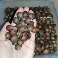 Sacha Inchi Seeds Raja Omega Vege 10pcs Biji Benih