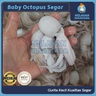 Baby Octopus Segar 1kg/Gurita Kecil/Gurita Segar/Baby Gurita Segar