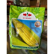 เมล็ดพันธุ์ ข้าวโพดหวาน จัมโบ้สวีท F1 (1000 กรัม) เมล็ดข้าวโพดหวาน ข้าวโพดหวานศรแดง เมล็ดพันธุ์ผักสว