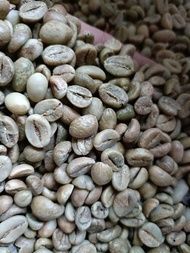 Green Bean Robusta Temanggung