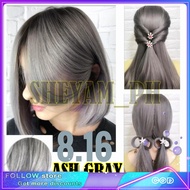 BREMOD 8.16 ASH GRAY HAIR COLOR - SET - WITH OXIDIZING/DEVELOPING CREAMhair color