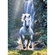Poster Picture Horse Size A3 Thickness 200 Grams No Frame Auspicious Enhance Feng Shui Decorate Your