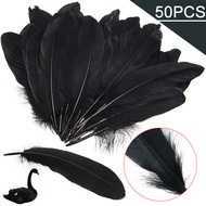 【in stock】50pcs Black Nature Large Goose Feathers DIY Decoration 6-8 inches/15cm to 20cm