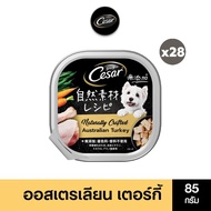 CESAR ซีซาร์ คราฟต์ อาหารสุนัขพรีเมียม 85 ก. (28 ถาด) อาหารเปียกสุนัข สำหรับสุนัขโตเต็มวัย