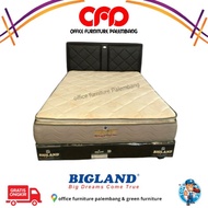 springbed bigland plasma pillow top matras kasur spring bed Limited