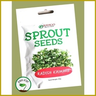 ✜ ✧ ♚ Ramgo Radish Kaiware Sprouting Microgreens Seeds