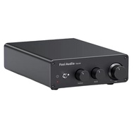 FosiAudio TB10D High Power Digital Amplifier HIFI Audiophile Class D Home Audio Equipment 300W*2 Out