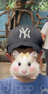 誠徵「NY Yankees 棒球帽」